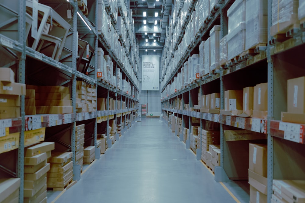 The Best Guide to Warehouse LED High Bay Light